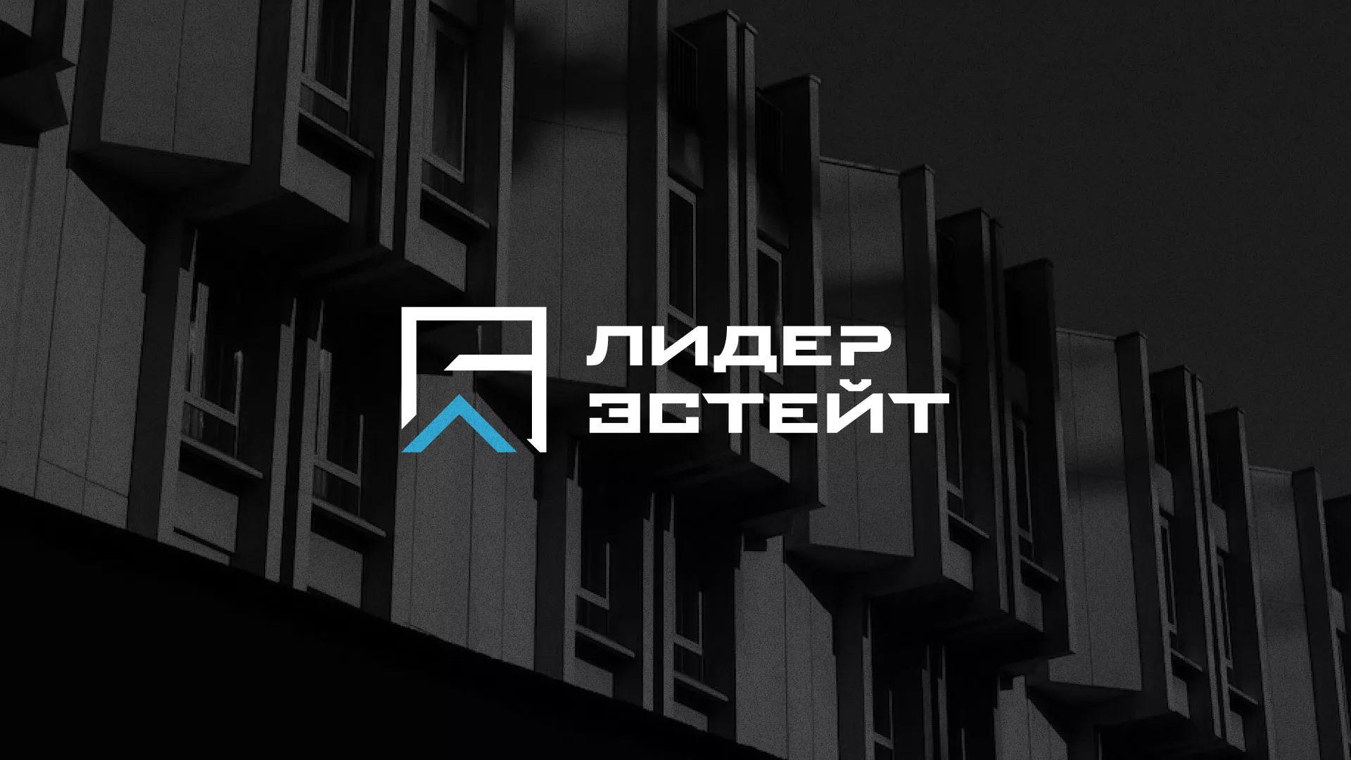 Разработка логотипа агентства недвижимости «Лидер Эстейт» в Черкесске