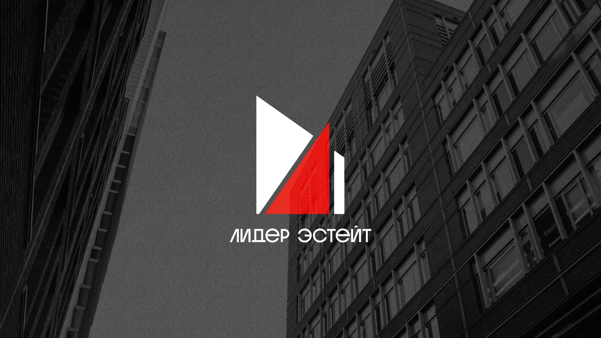 Сделали логотип для агентства недвижимости «Лидер Эстейт» в Черкесске